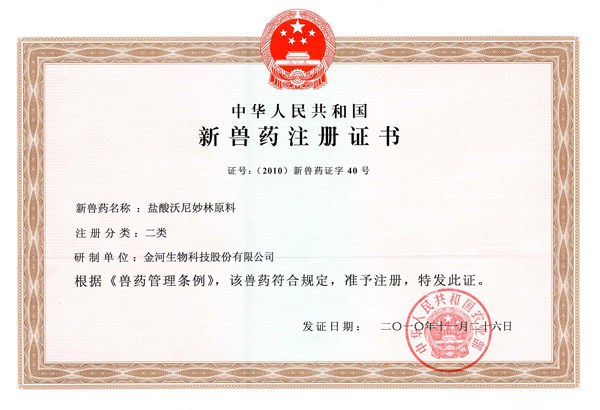 NG28-�Ƽ����ܳ���,�����ָ���Ȥ!